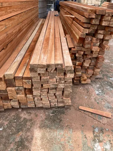 Pernamanca mandioqueira 5mts