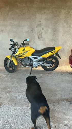Vendo/troco Twister sem nada pra fazer