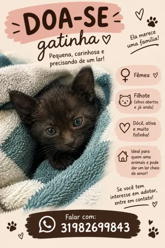 Doa-se gatinha