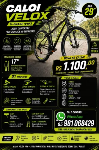 Bicicleta