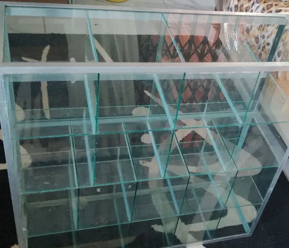 Venda balcao de video.