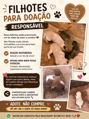 Doação 
