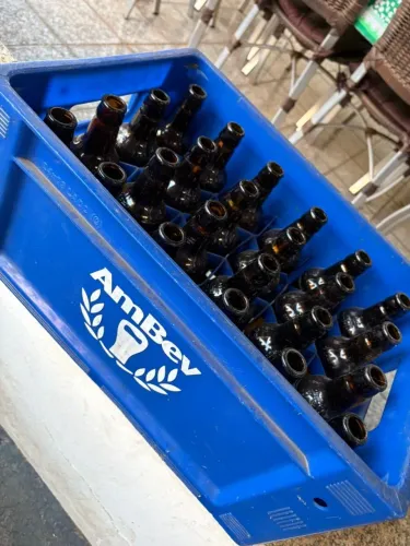 Caixa de romarinho 24 unidade 