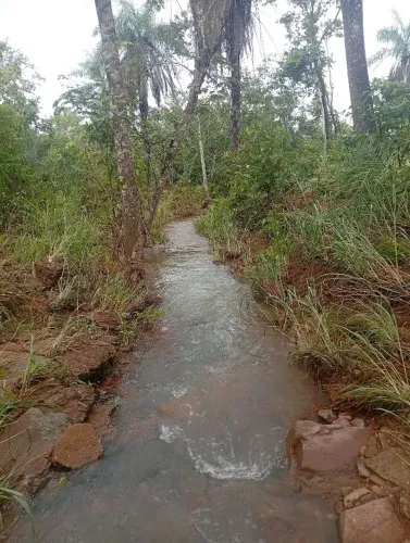 Fazenda a venda ?