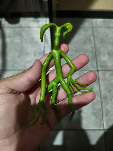 Diabrete da Cornualha e Tronquilho ambos originais