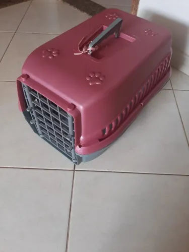 Caixa de Transporte de Cães