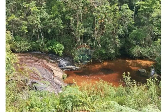 Reserva ambiental com 10 Hectares ideal para compensação