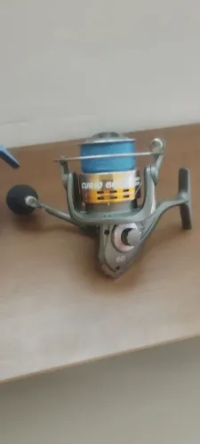 Molinete curió