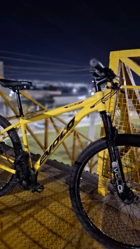 BIKE ARO 29 EVOLO