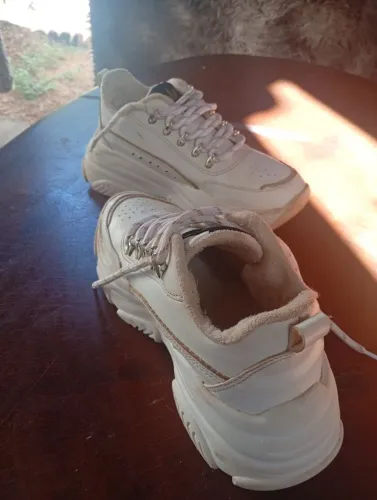 sapato Adidas número 34 por 100$