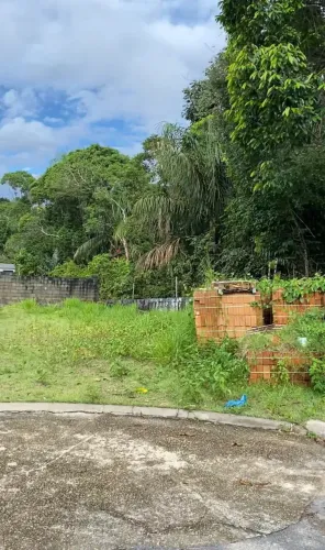 Terreno/Lote no Residencial Forest Hill 300m2 Plano/Limpo/Ultimo lote da rua Oferta