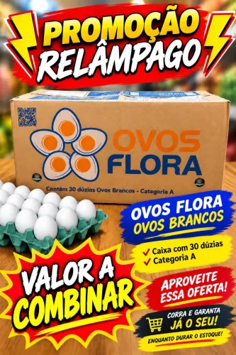 Caixa de ovos a pronta entrega