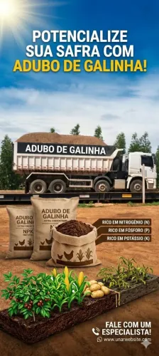 Adubo de galinha orgânico
