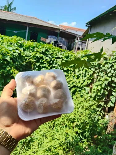 Bolinhos de Piracuí Congelado 