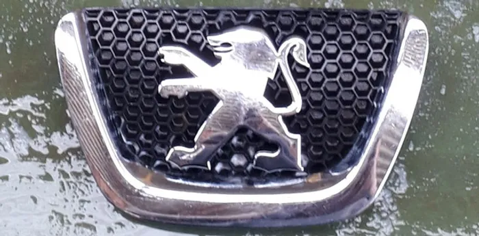 Simbolo grade peugeot 307 