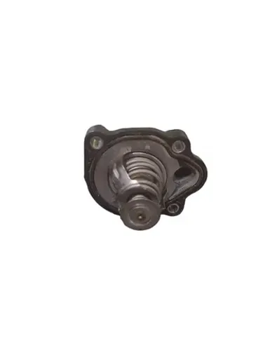Válvula Termostática Powershift Ford Focus 2.0 N9