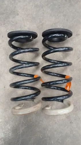 Par De Mola Traseira Fiat Cronos Original