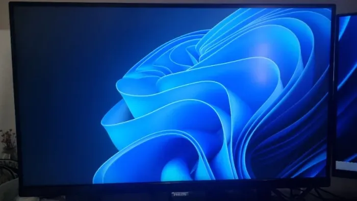 Monitor 4k 60Hz