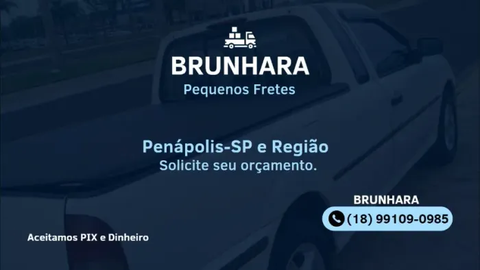 Frete Penápolis/SP e Região