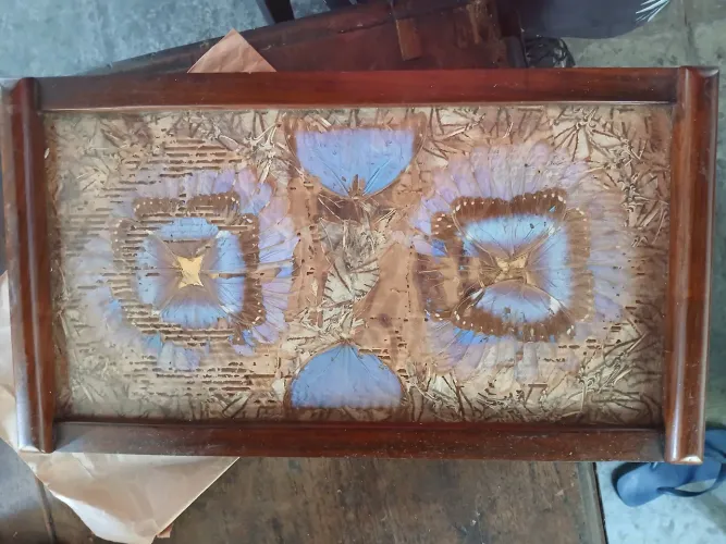 Quadro Decorativo com Asas de Borboleta