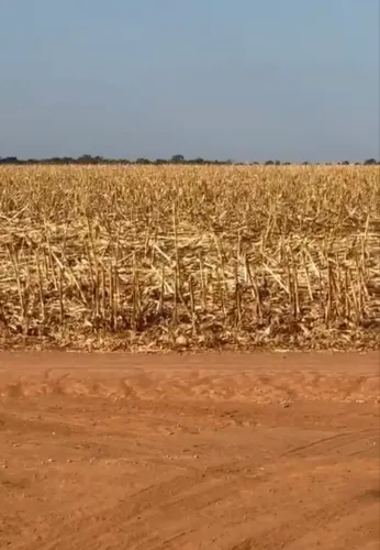 R$330 Milhões  Fazenda à Venda 7.234 hectares em Querência-MT 