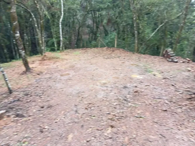 VENDO LINDO TERRENO/ (2.350m2 ) Prox. St Felicidade