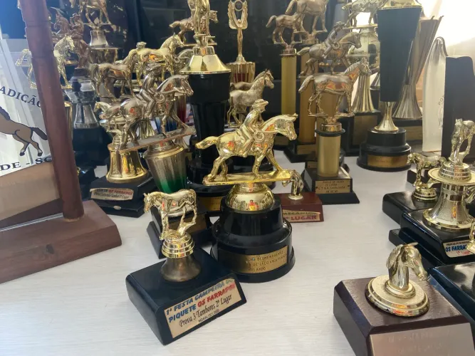 Trofeu cavalo anos 90 Plastico