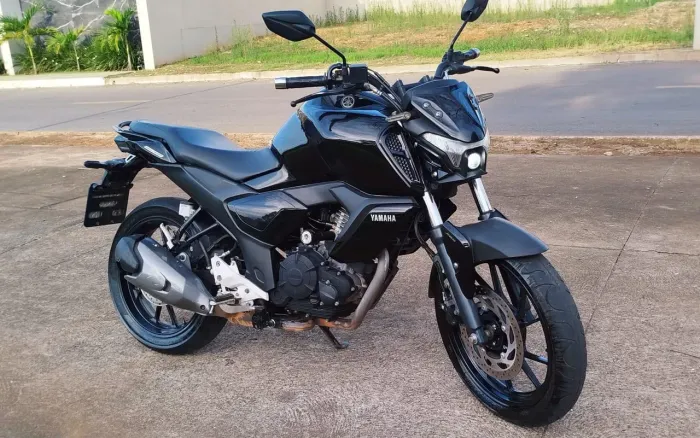 Fz 15 2023