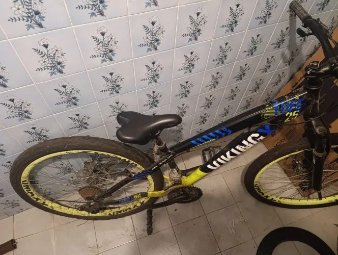 Bicicleta viking