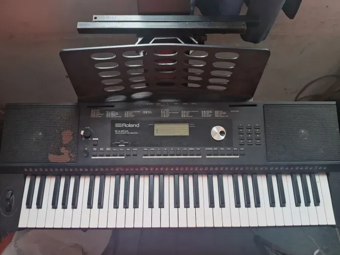 Roland EX20A, Vai com pedal sustain, fonte e bag.