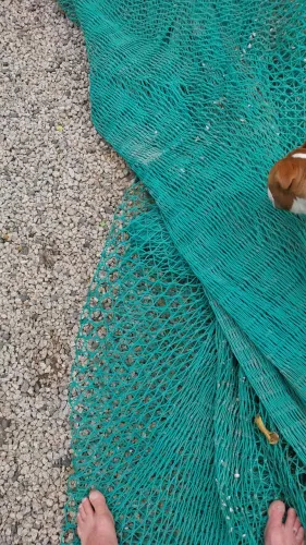 Rede nova