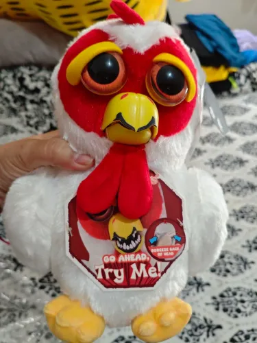 Feisty Galo