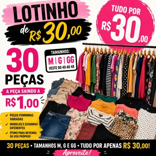 Lote de roupas femininas