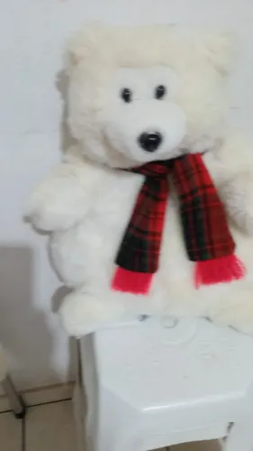 Urso de Pelúcia - Usado e Muito Bem Conservado