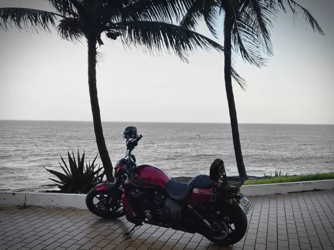V-rod night