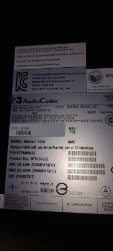 Mediante 1000 Áudio Codecs