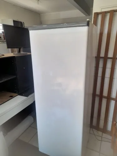 Vendo geladeira funcionando entrega gratis 