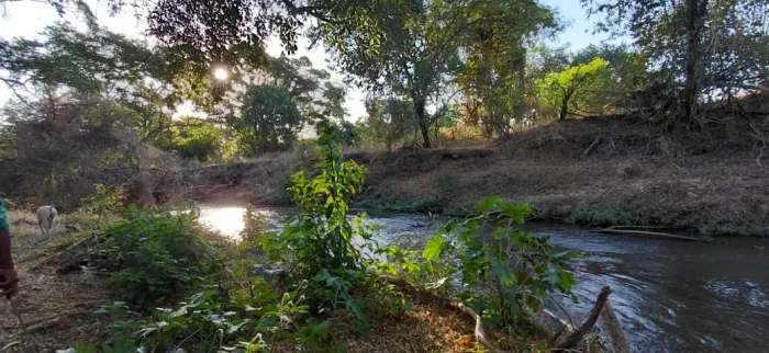 Fazenda de 107,67 Hectares em Iaciara-GO (Fazenda Umbuzeiro)