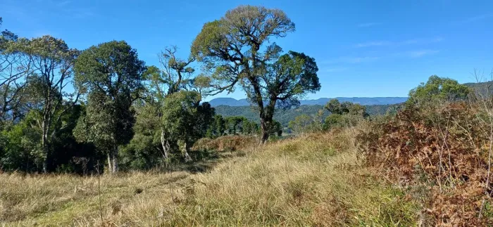 Terreno rural