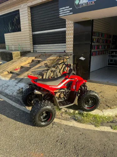 Quadriciclo Cforce 110