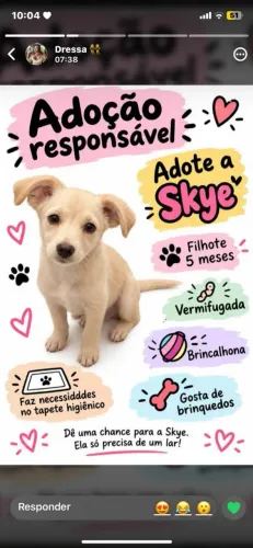 Adoção Filhote