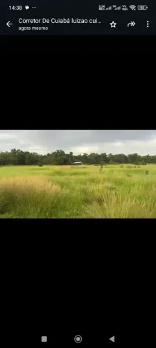 Fazenda de arrendamento pra Gado, 6.300 hec pra 2.000 vacas em Cocalinho MT.