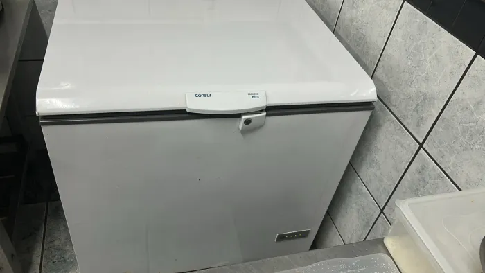 Vendo freezer cônsul  307 l 