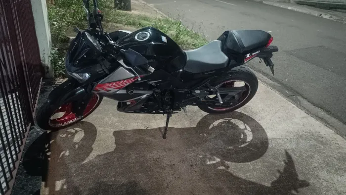 Kawasaki Z,300 2019