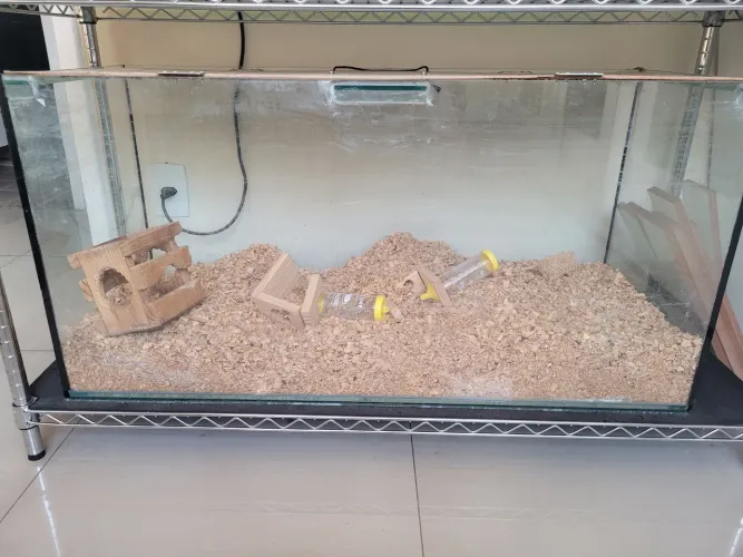 Terrario de vidro grande