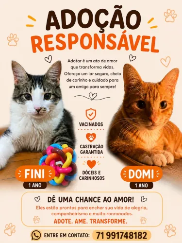 Adoção Responsável