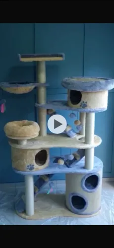 Promoção casinha grande gatos 