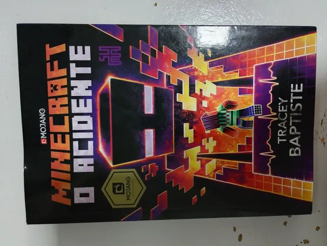 Livro Minecraft o acidente de Tracey Baptiste 