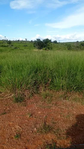 Terreno no Pará 