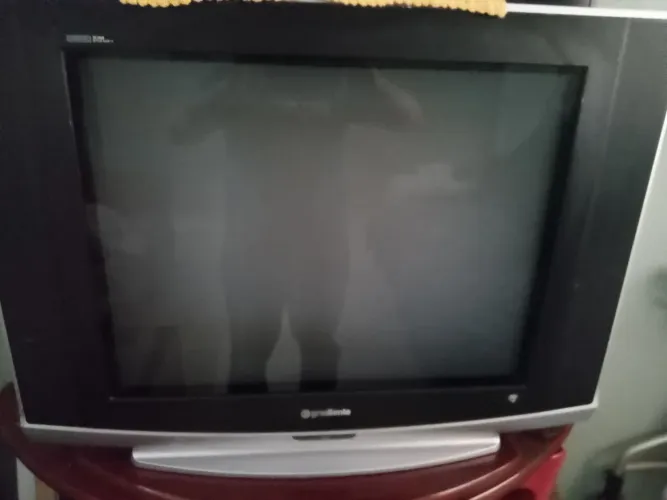 Vendo televisão 29 plegadas